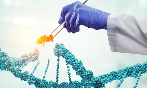 CRISPR: Gene editing for treatments | Mahalakshmi college for Allied health science