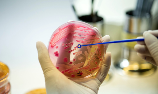 Regenerative Therapy: Repairing tissues with stem cells | Mahalakshmi college for Allied health science